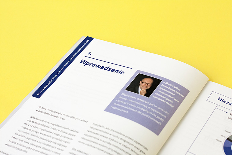 For SDCM we've designed 2 automotive reports