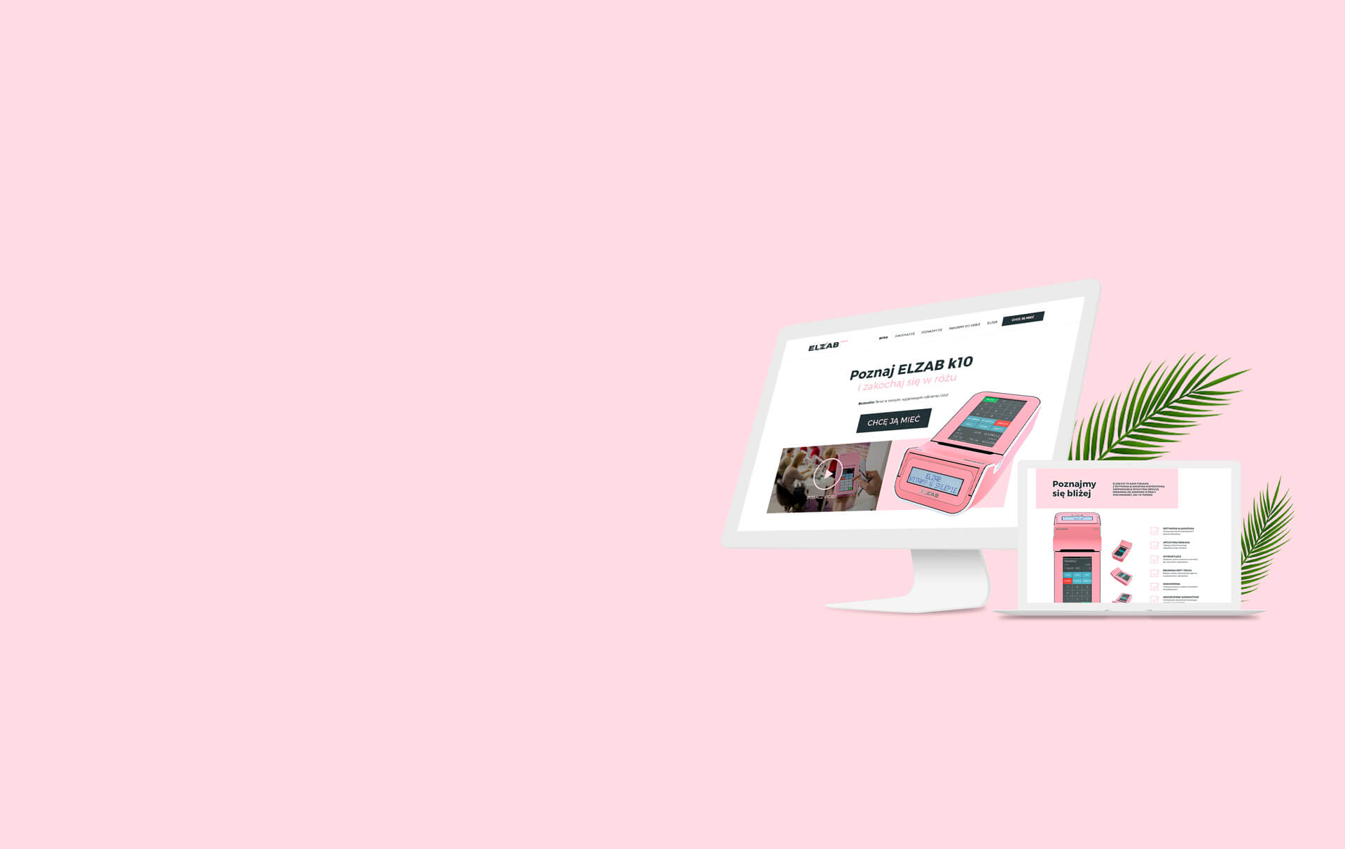 Projekt i wdrożenie landing page dla Elzab S.A.