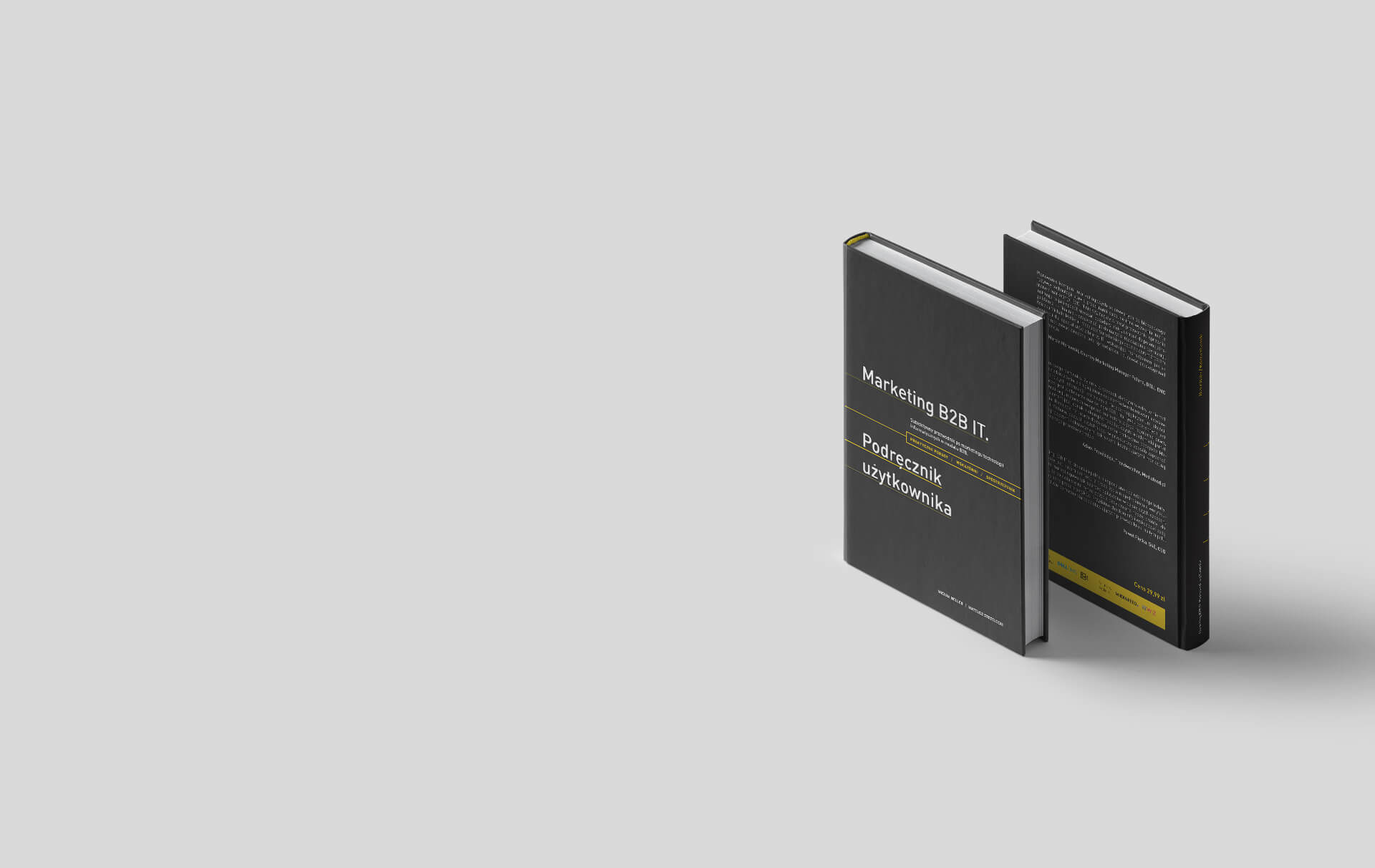 Książka Marketing B2B IT. Podręcznik użytkownika - Mateusz Strzelecki i Michał Meller